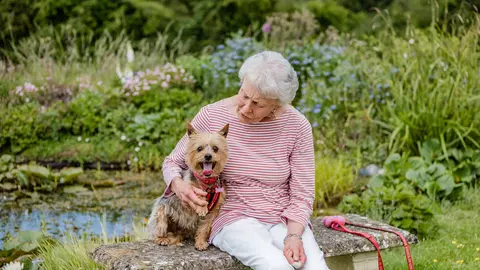 A Yorkie terrier called Petra and her elderly female owner are sitting on a bench near a pond, surrounded by lovely flowers and greenery